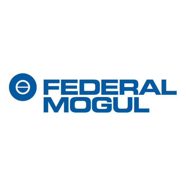 Federal Mogul